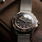 Omega Seamaster Diver 300m